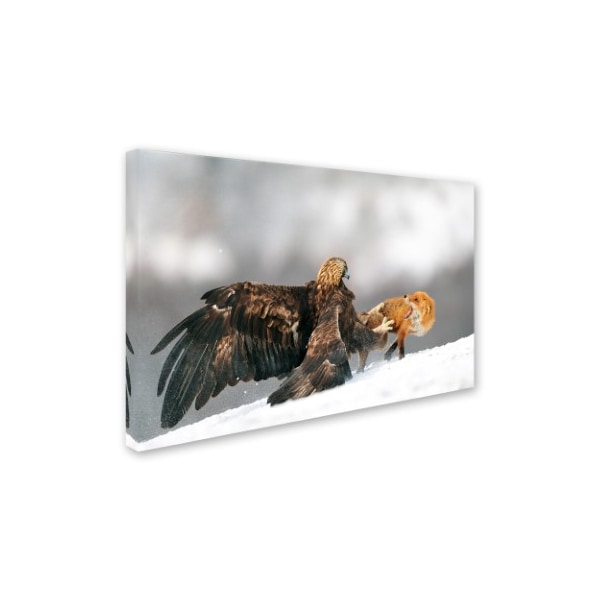 Yves Adams 'Golden Eagle And Red Fox' Canvas Art,16x24